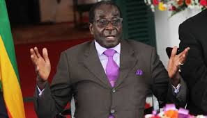 President Robert Mugabe - read the wrong speech in Parliament