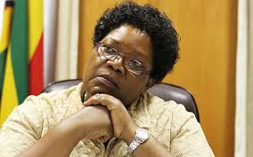 Joice Mujuru - a new face in Zimbabwe's treacherous opposition trenches